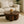 Solid Wood Clara Sculpted Coffee Table