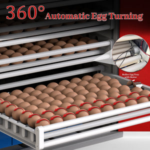 1000-Egg Commercial Cabinet Incubator – Digital Poultry Hatcher