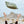 Drift Car Camp Pillow Regular