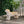MGO Dog Bench, Outdoor Light Brown, No Assembly Required