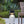 Water Fountain With Vase Design, Light And Pump