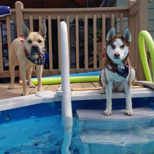 Confer Plastics CCX-AG 4 Step Above Ground Pool Ladder Stair Entry System, Grey