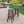 Primrose Outdoor Acacia Wood Barstools With Foot Rest (Set of 2) - Dark Brown