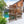 Outdoor & Indoor Privacy Screen Metal Privacy Screen