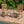 Outdoor Chair Cushions Set of 2, 19 x 19 x 4 Inch Tufted Seat Cushions with Ties