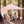 17 Feet x 10 Feet Foldable Pop Up Canopy with Adjustable Instant Sun Shelter