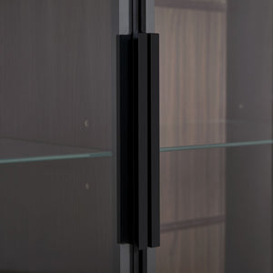 Modern Minimalist Style LED Curio Cabinet With Tempered Glass Door, Metal Legs