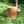 Evie Outdoor Patio Round MGO Side Table Brown