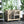 Pawhut - Indoor Rabbit Hutch With Wheels, Desk And Side Table Sized, Wood Rabbit Cage, Waterproof Small Rabbit Cage - Natural