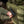 M-Tac Patch Medic PVC Olive/black