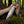 Copper Damascus Bowie Knife | Carbon Fiber Handle