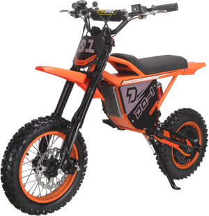 Electric Dirt Bike 48V 1000W for Adults and Teens
