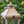 Candle Lantern Decorative, Hurricane Lantern Holder Decor For Indoor Outdoor, Home Garden Wedding - Ivory