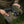 M‑Tac Universal Tactical Holster Elite