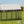 Large Dog Kennel Outdoor Pet Pens