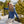 Women's Back of Bell 3-in-1 Systems Jacket