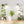 9 Tiered Indoor Plant Stand With 5 Adjustable Grow Lights