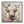 Highland Cow Wall Decor, Picture Canvas Art Print for Living Room - Camel / Brown