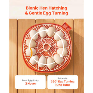 12 Egg Incubator with Automatic Egg Turner and LED Candler