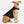 Stratus Lite Reversible Dog Jacket