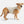 Stratus Lite Reversible Dog Jacket