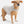 Stratus Lite Reversible Dog Jacket