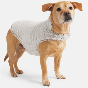 Stratus Lite Reversible Dog Jacket