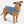 Stratus Lite Reversible Dog Jacket