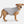 Stratus Lite Reversible Dog Jacket