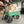 Folding Poly Garden Dump Truck with Steel Frame and Pneumatic Tires