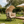Sunnydaze Modern Luxury Egg Chair with Retractable Canopy - Taupe