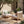 Acacia Wood Patio Furniture Club Chair Set of Two