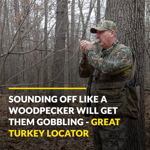 Woodpecker Locator Call - TRAPSKI