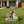 Sitting Dog Solar Lantern Planter Statue