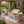 4-Piece Outdoor Sofa Set with Acacia Wood Frame in Teak Look