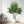 7FT Artificial Willow Tree Indoor Faux Greenery Plant