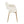 Margarite - Contemporary Versatile Dining Chair (Set of 2)