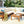 GO 4 Pieces Outdoor Acacia Wood Sofa Set with Coffee Table