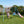 Xns107 - 2 Swing Set With Slide For Outdoor - Blue / Pink