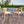 Patio Dining Chair (Set of 2) - Light Teak