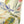 Paradise - Upholstered Accent Chair Printed On - Off-White Floral