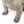 Dog Garden Sculpture, Outdoor French Bulldog Garden Statue, Gray