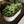 Heavy Duty Galvanized Raised Garden Bed Kit For Vegetables, Flowers & Herbs