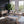 Sonoma - Dining Bench