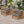 Outdoor Acacia Wood Club Wooden Armchair with Cushions (Set of 4)