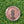 Chambers Bay Lone Fir Ball Marker