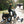 Rottweiler Etrike