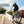 Doberman Ebike