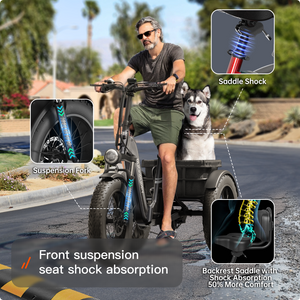 Husky Plus Etrike