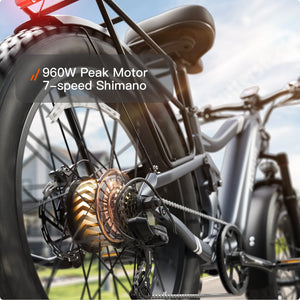 Boxer Ebike